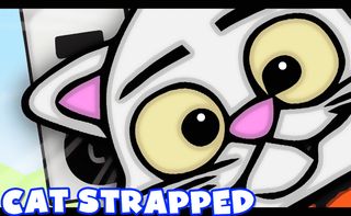 Cat Strapped